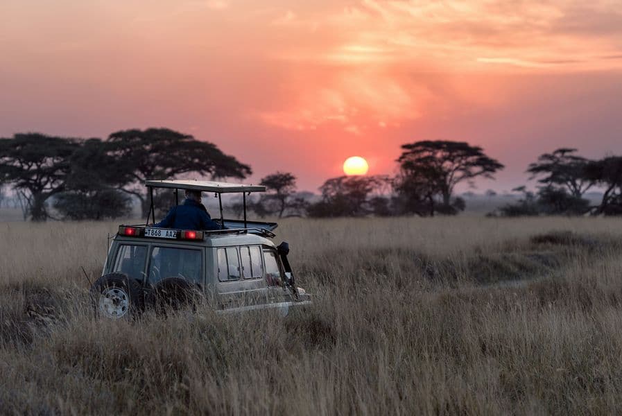 6-Night A Kenyan Safari (Deluxe)